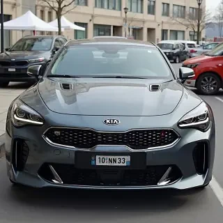Kia Stinger 2019 plate number 10-nn-333